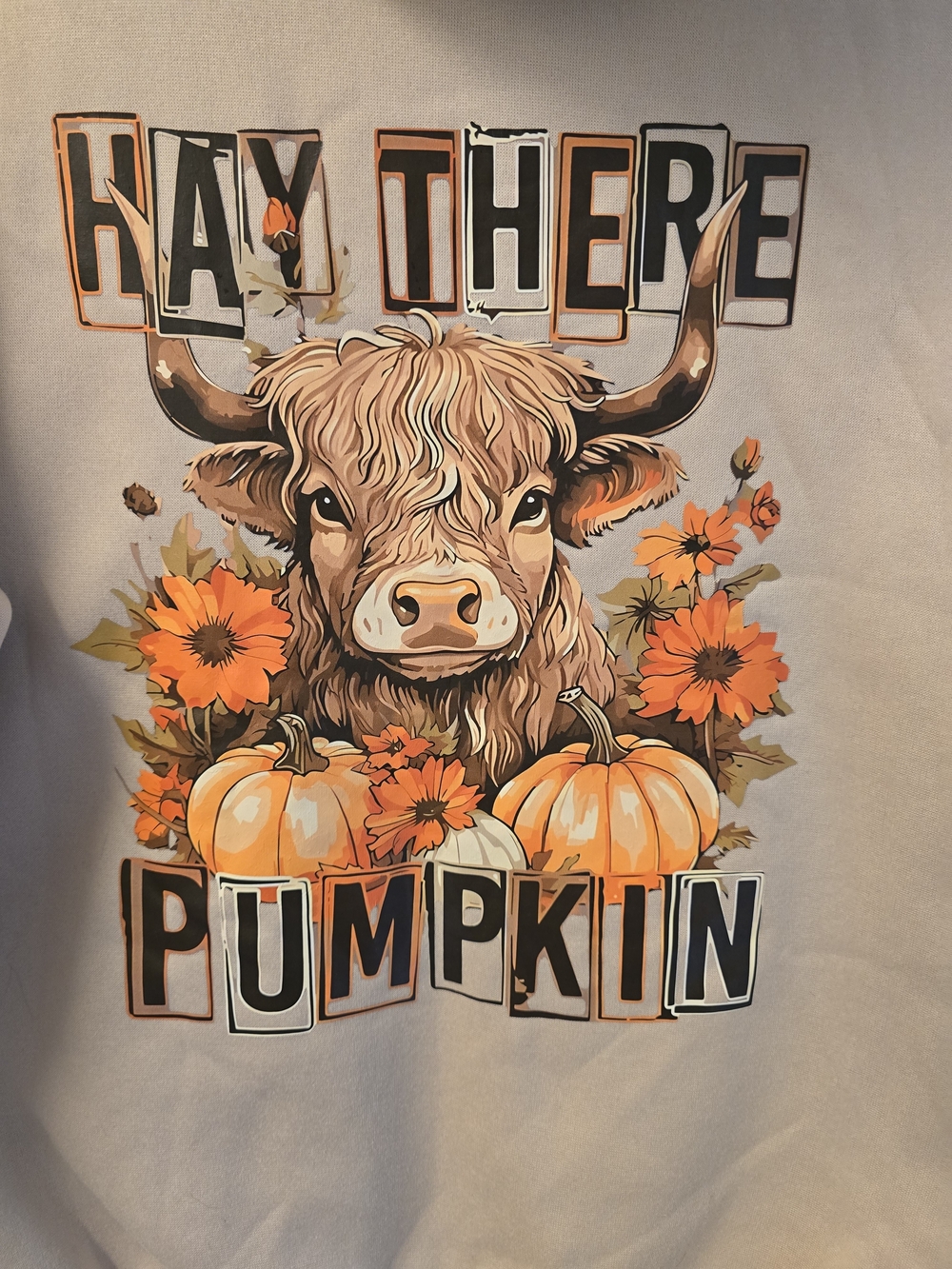Hey There Pumpkin Autumn Graphic Pullover - Orange
